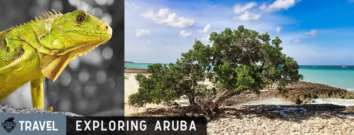 Divi Village Golf and Beach Resort, Aruba