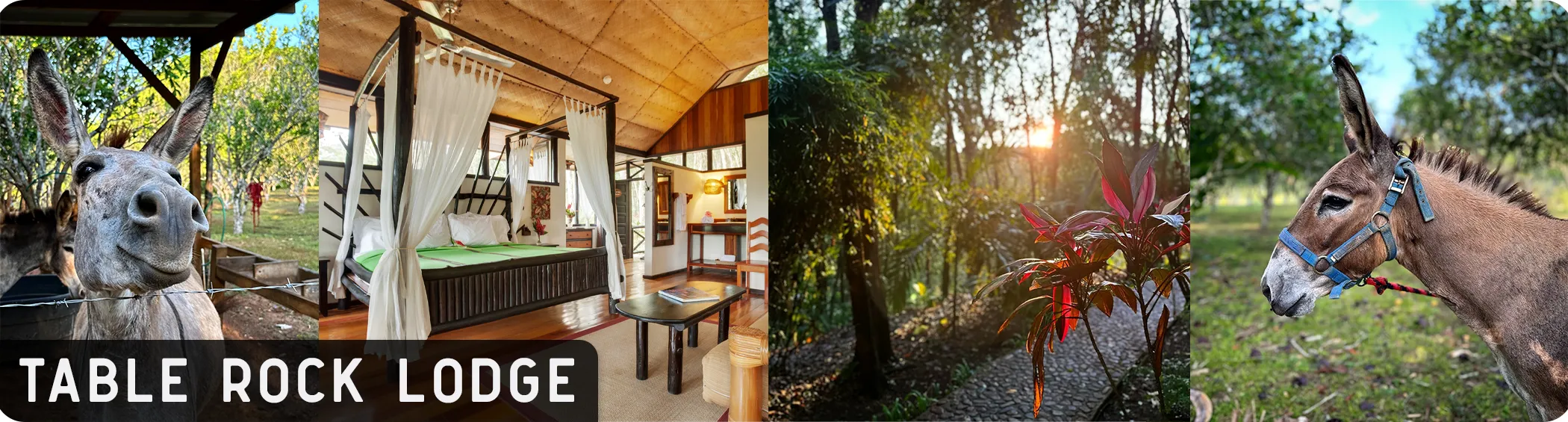 Table Rock Jungle Lodge