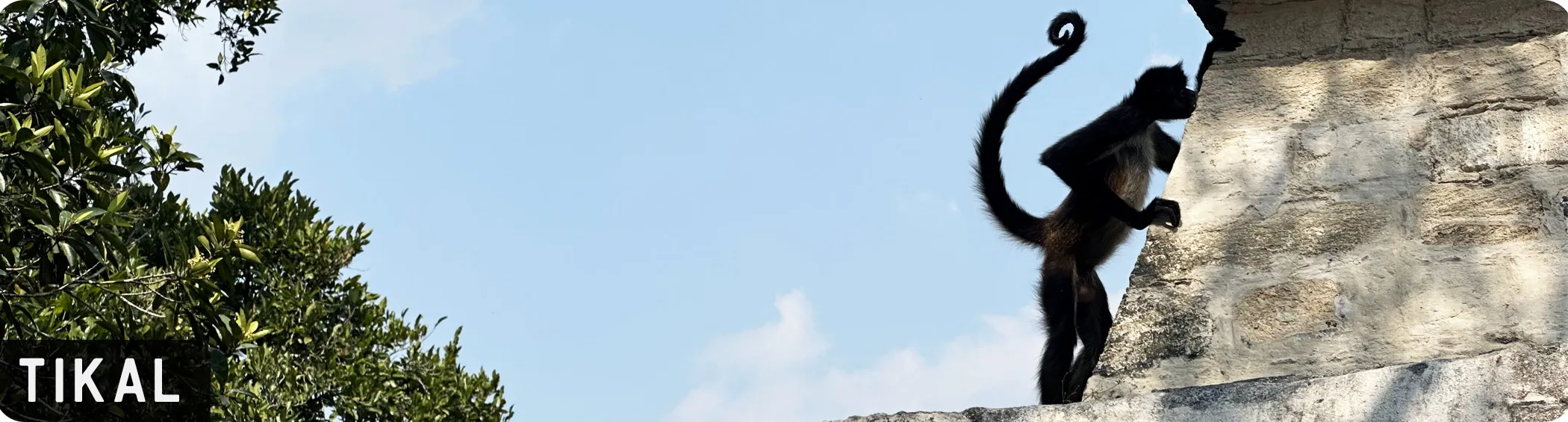 Tikal, Guatemala Tikal, Guatemala