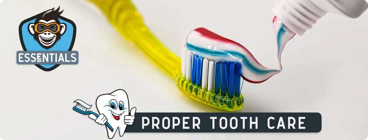 Guide to Fresh Breath and Clean Teeth