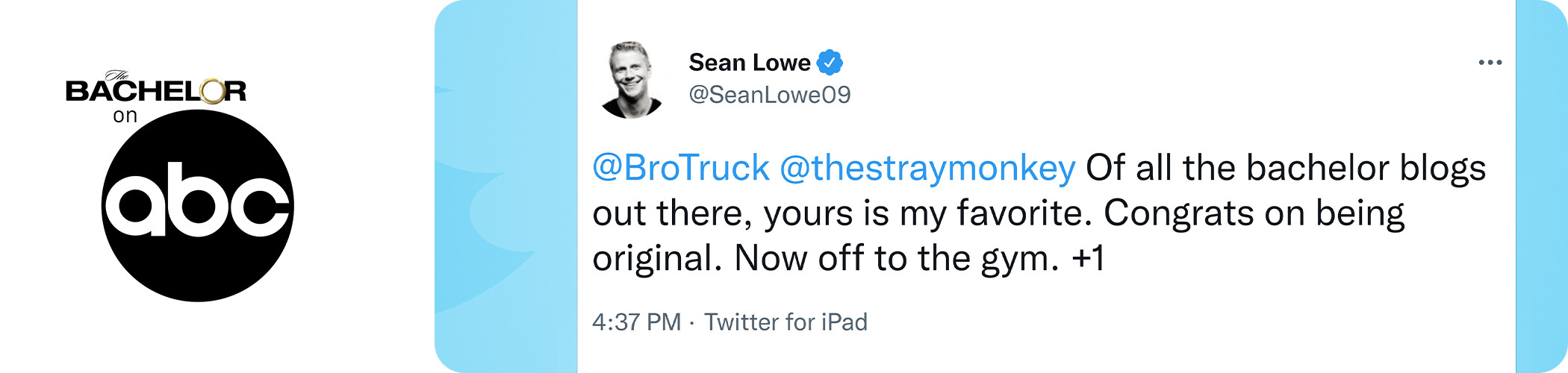 Stray Monkey Press - ABC The Bachelor